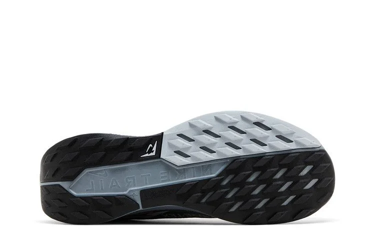 Кроссовки Nike Pegasus Trail 5 GORE-TEX 'Black Wolf Grey'