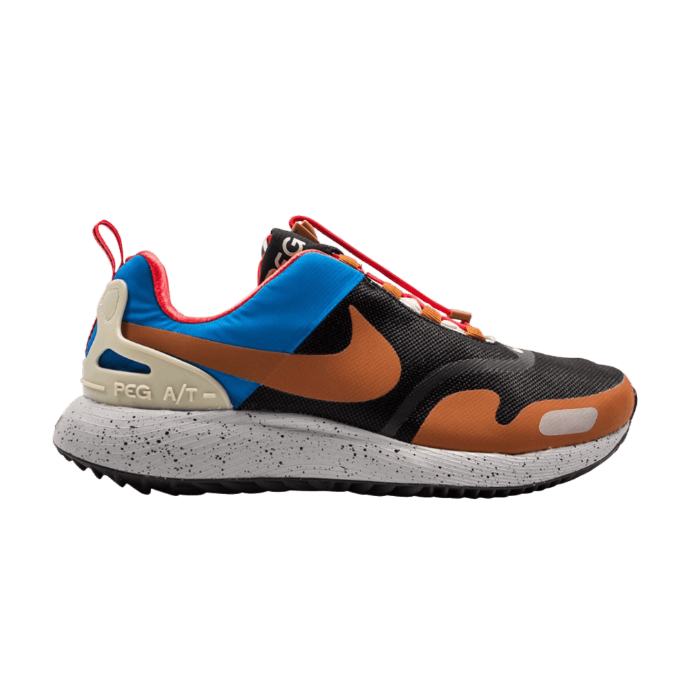 Кроссовки Nike Air Pegasus A/T Winter QS 'Black Dark Russet'