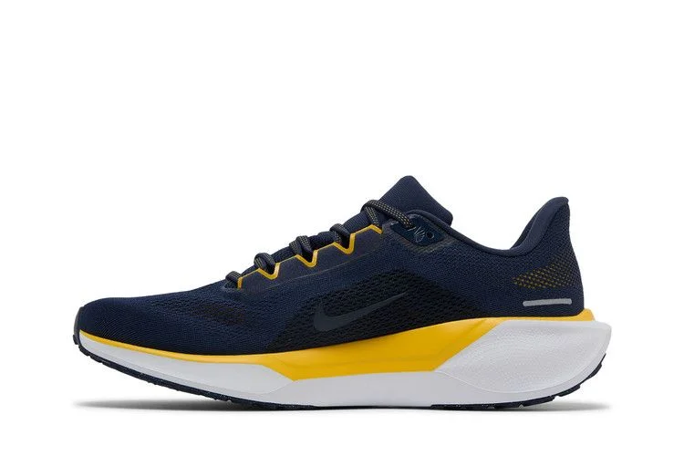 Кроссовки Nike Air Zoom Pegasus 41 'Michigan'