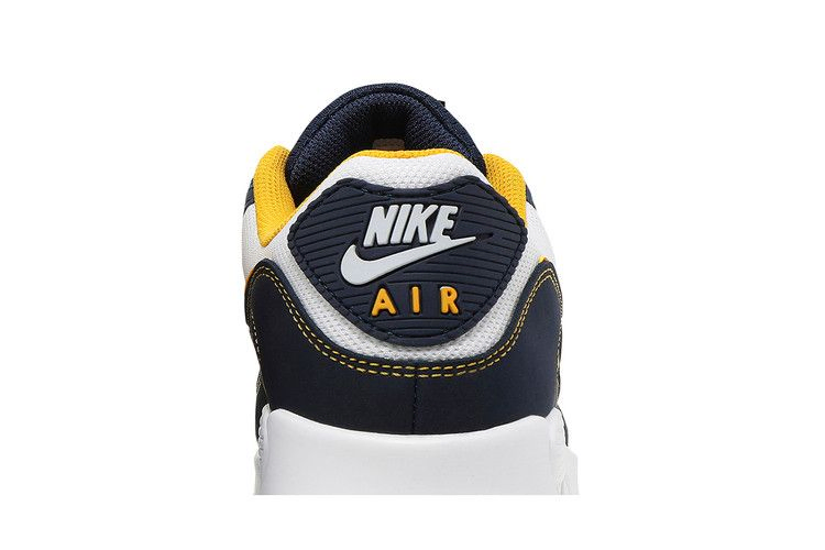 Кроссовки Nike Air Max 90 'Dunk From Above'