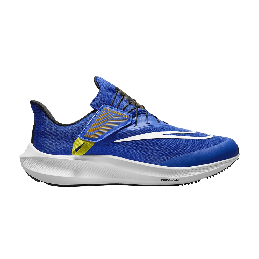 Кроссовки Nike Air Zoom Pegasus 39 FlyEase Extra Wide 'Racer Blue Sundial'