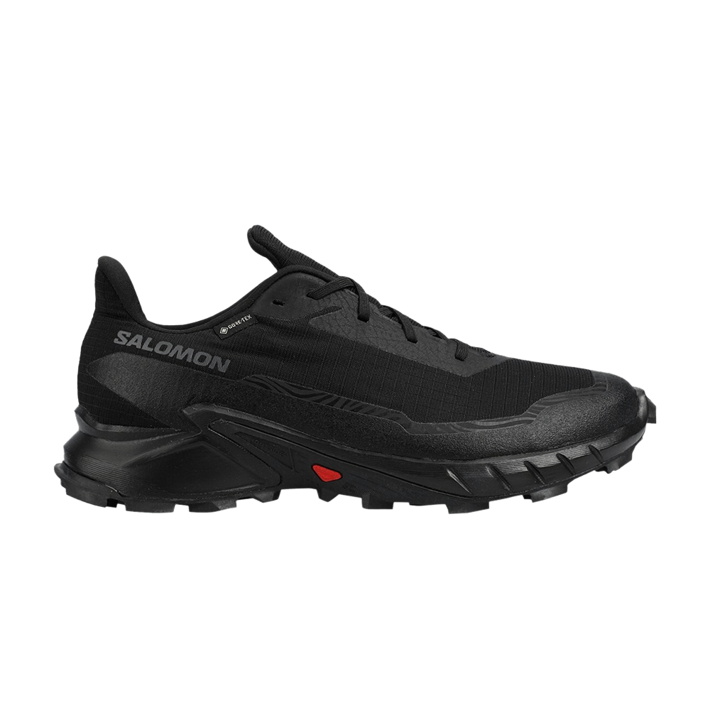 Кроссовки Salomon Alphacross 5 GORE-TEX 'Black Ebony'