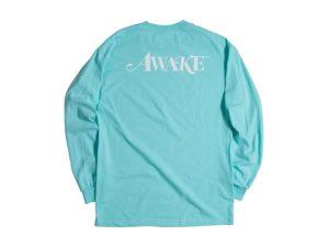 Awake-Classic-Logo-LS-Tee-Seafoam-300x225