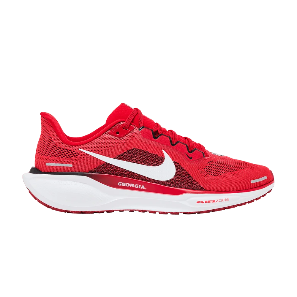 Кроссовки Nike Air Zoom Pegasus 41 'Georgia 2024'