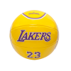 2020-Spalding-NBA-LA-Lakers-James-23-Ball-1-100x100