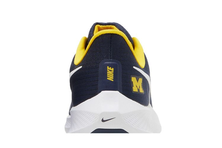 Кроссовки Nike Air Zoom Pegasus 39 'Michigan'