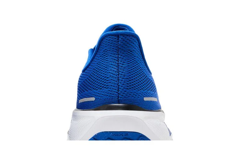 Кроссовки Nike Air Zoom Pegasus 41 'Duke'