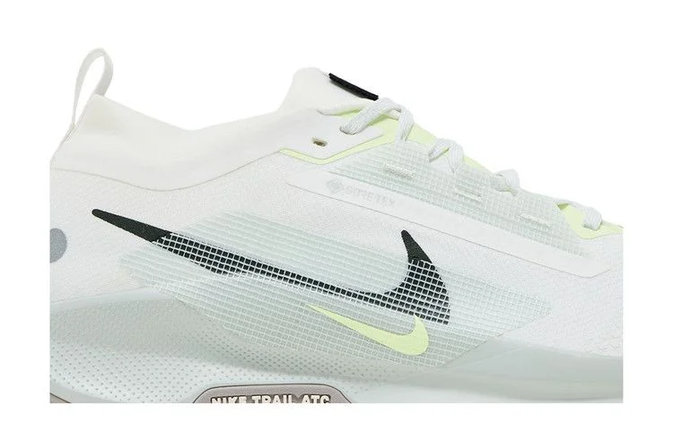 Krossovki-Nike-Pegasus-Trail-5-GORE-TEX-Light-Silver-Sequoia-1