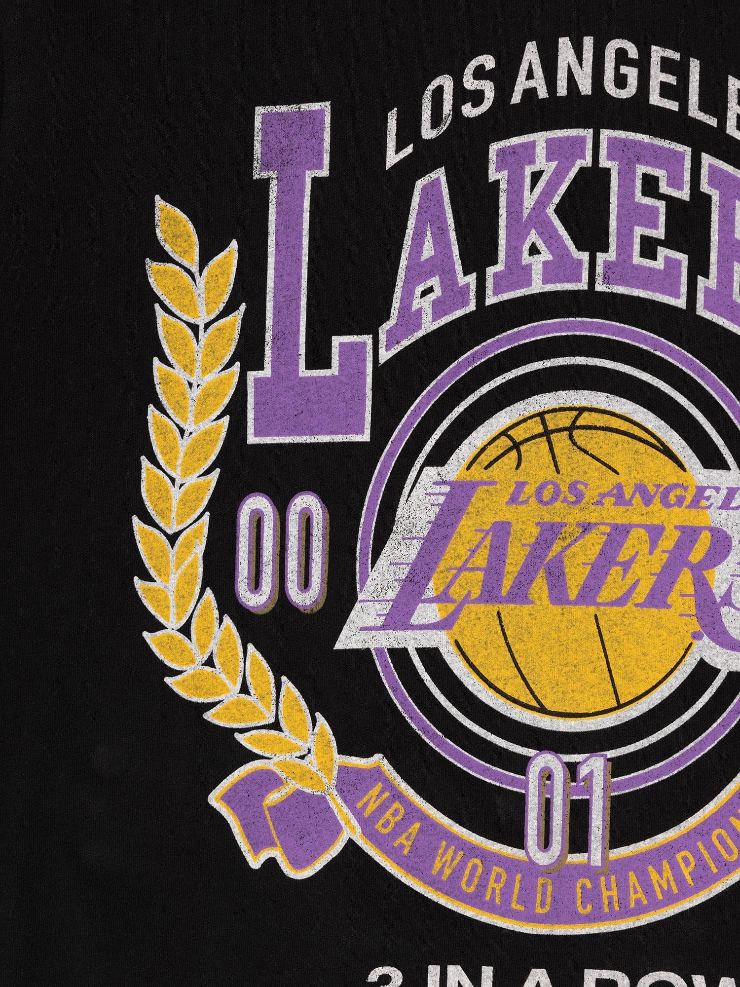 Mitchell-Ness-Los-Angeles-Lakers-Vintage-Arch-T-Shirt-5