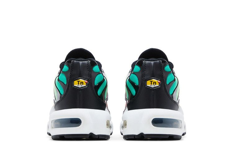 Кроссовки Nike Wmns Air Max Plus 'Rainbow'