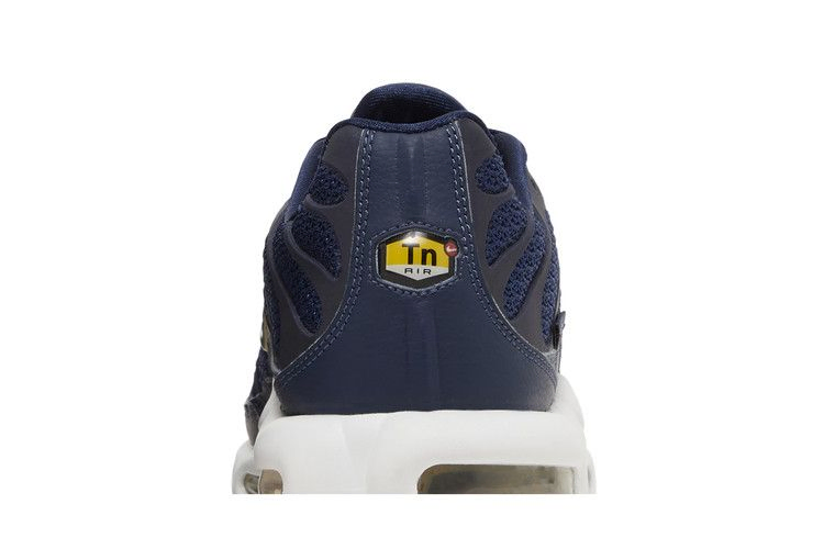 Кроссовки Nike Air Max Plus 'French Football Federation'