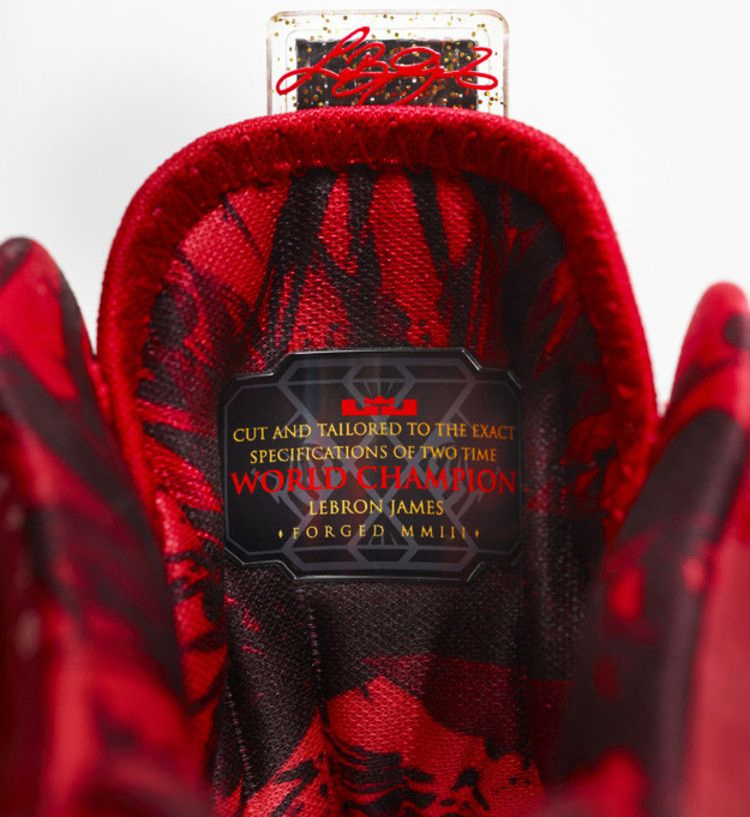 lebron-celebration-pack-championship-628622-900_03