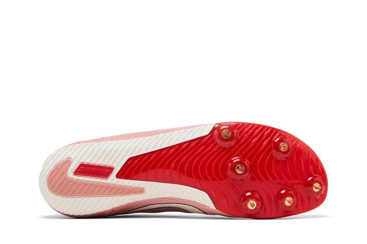 Кроссовки Nike Rival Sprint 'The Armory Pack'