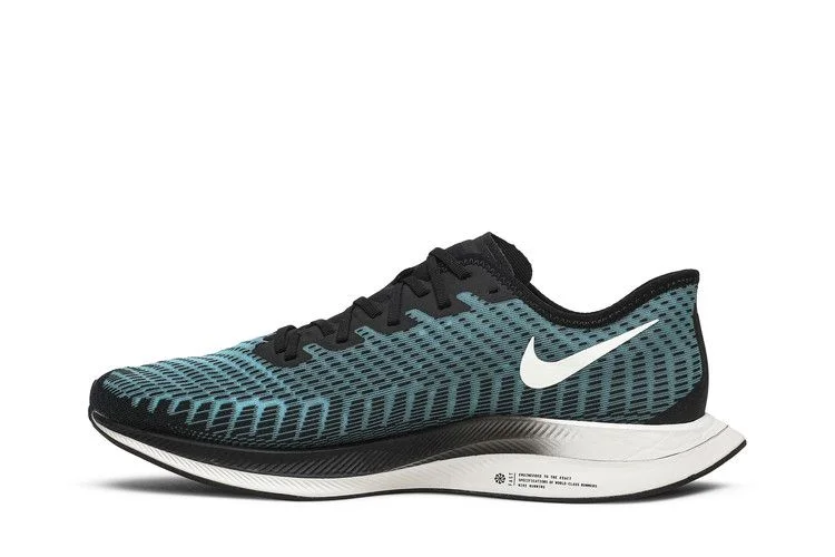 Кроссовки Nike Zoom Pegasus Turbo 2 'Pumice'