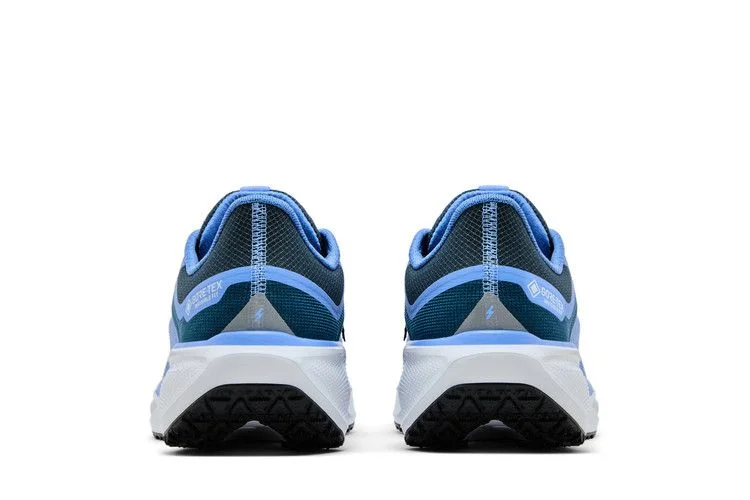 Krossovki-Nike-Wmns-Air-Zoom-Pegasus-41-GORE-TEX-Cobalt-Bliss-5