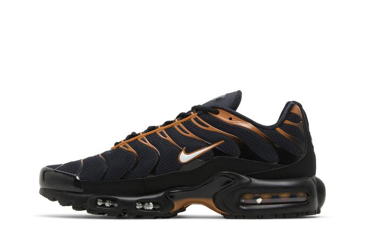 Кроссовки Nike Air Max Plus 'Dark Obsidian Monarch'