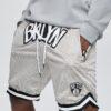 Ehot-Nets-Patch-Grey-Shorts-100x100