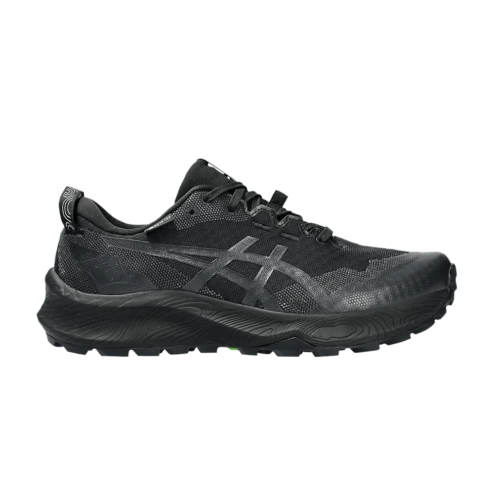 Кроссовки Asics Wmns Gel Trabuco 12 GORE-TEX 'Black Graphite Grey'