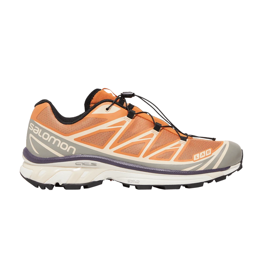 Кроссовки Salomon XT-6 'Apricot Buff'