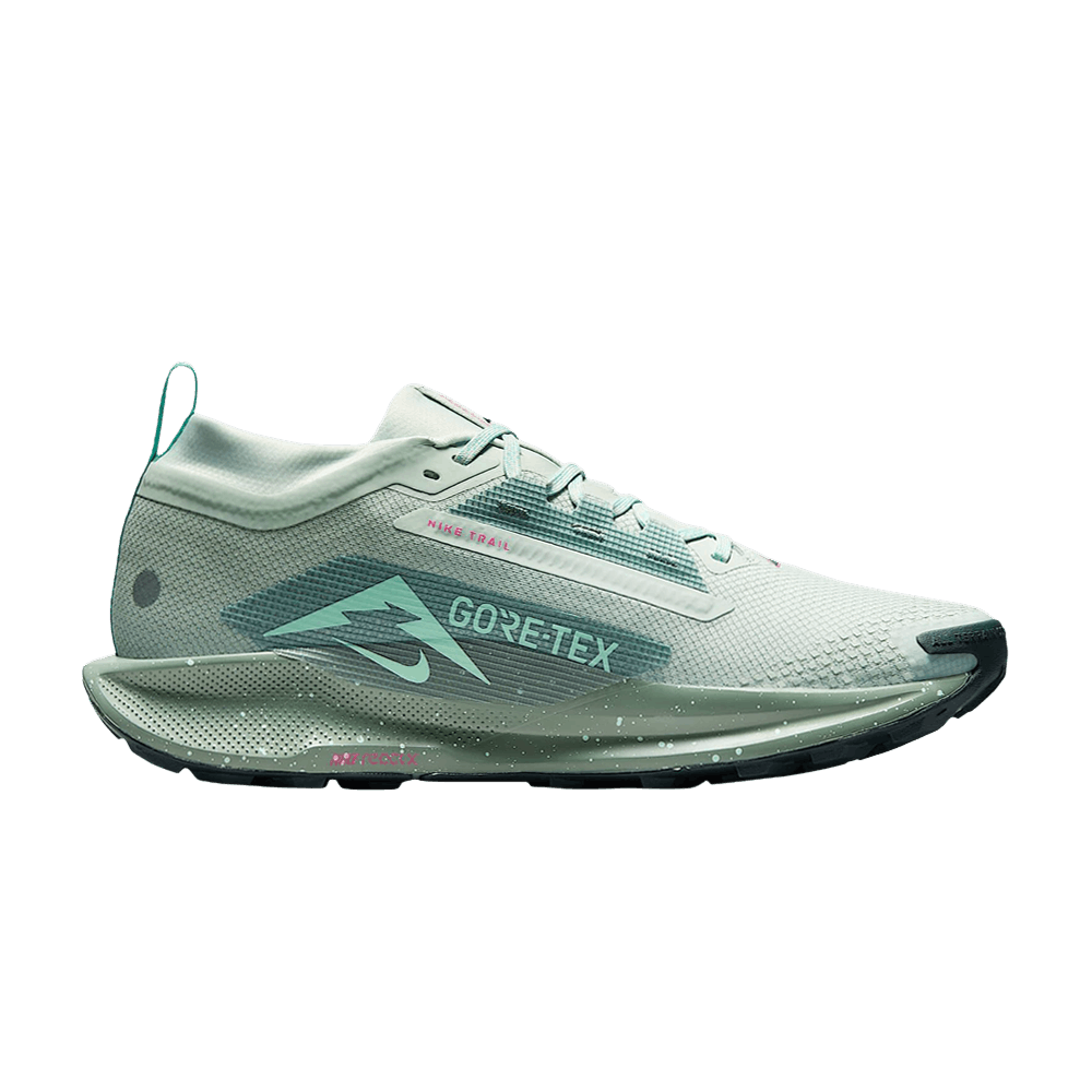 Кроссовки Nike Pegasus Trail 5 GORE-TEX 'Light Silver Clay Green'