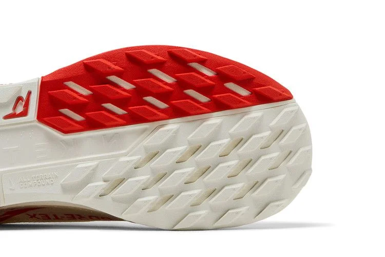 Кроссовки Nike Pegasus Trail 5 GORE-TEX 'Sail Picante Red'