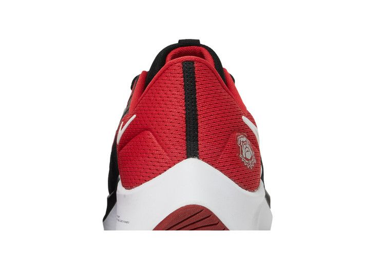 Кроссовки Nike Air Zoom Pegasus 38 'Georgia'
