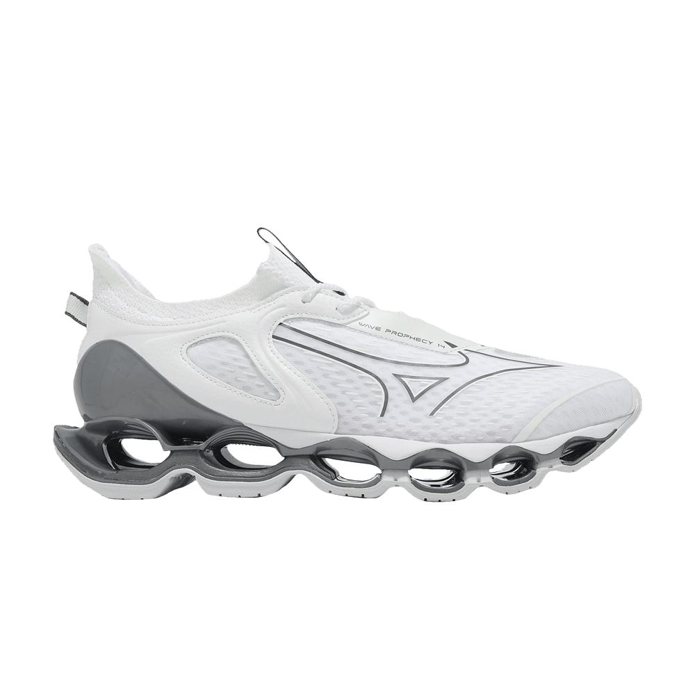 Кроссовки Mizuno Wave Prophecy 14 'White Silver'