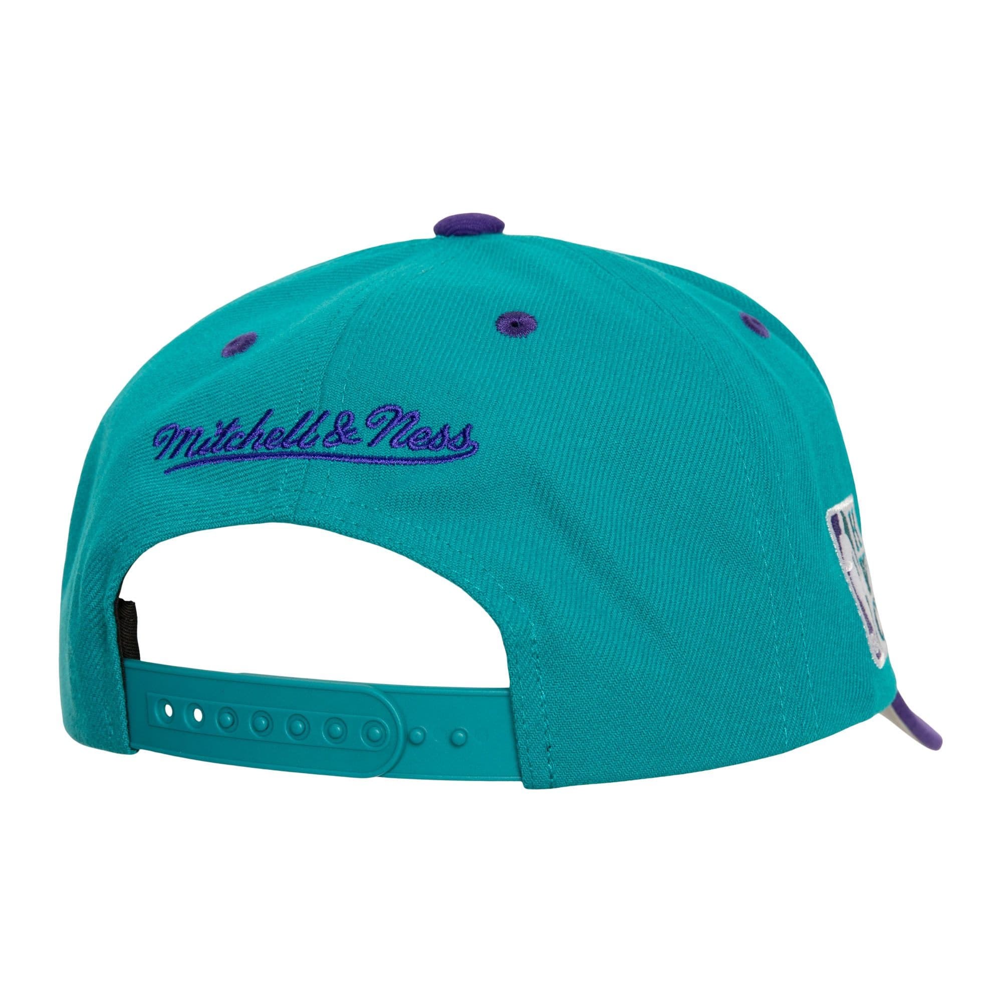 Mitchell-Ness-Crown-Jewels-Pro-Snapback-HWC-Charlotte-Hornets-Hat-1