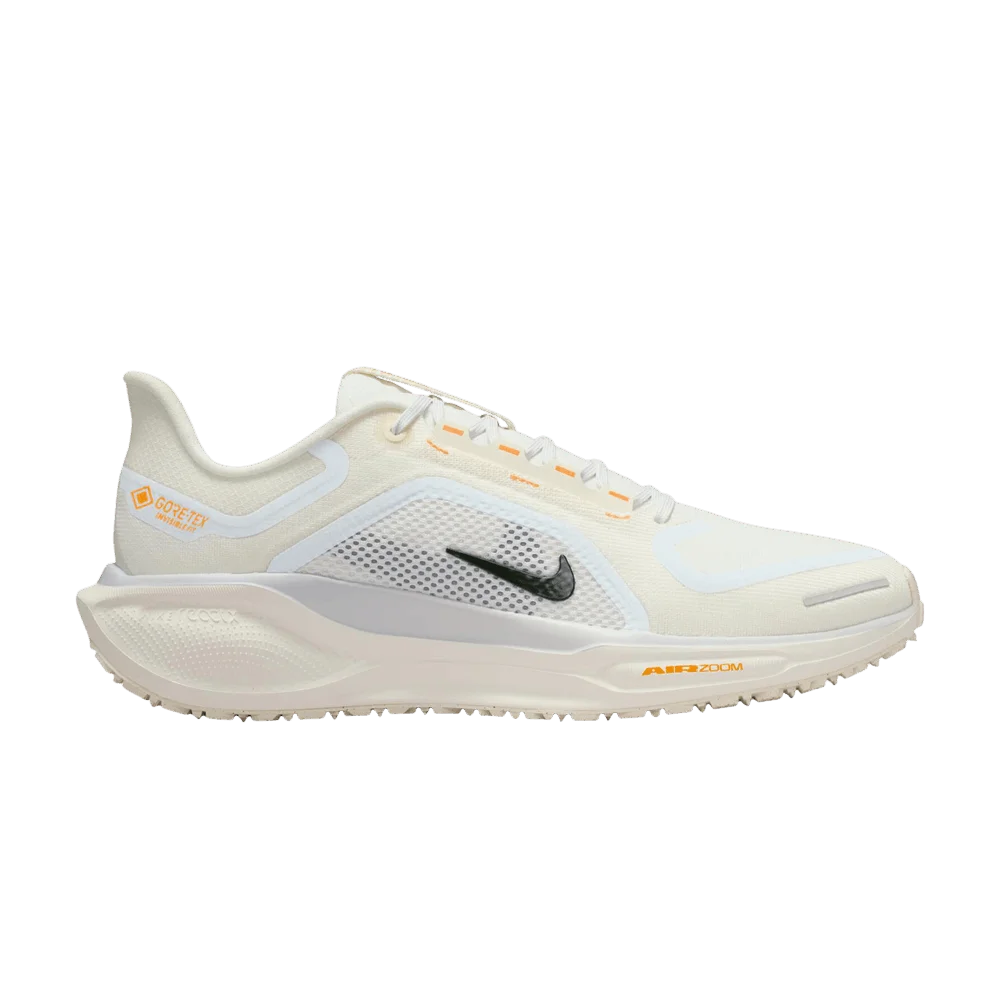 Krossovki-Nike-Wmns-Air-Zoom-Pegasus-41-GTX-Sail-Ashen-Slate-Football-Orey