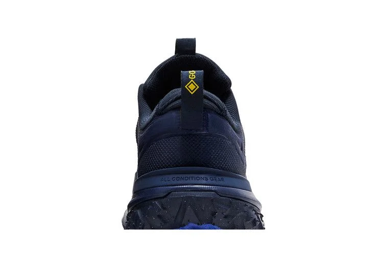 Кроссовки Nike ACG Mountain Fly 2 Low GORE-TEX 'Midnight Navy'