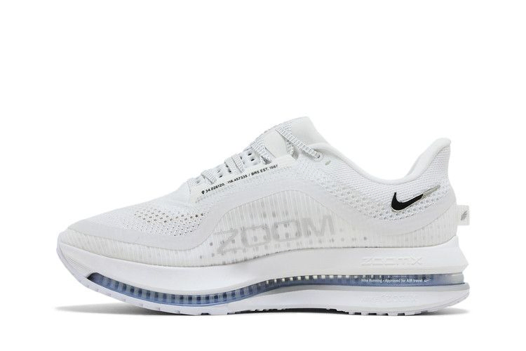 Кроссовки Nike Pegasus Premium 'White Metallic Silver'