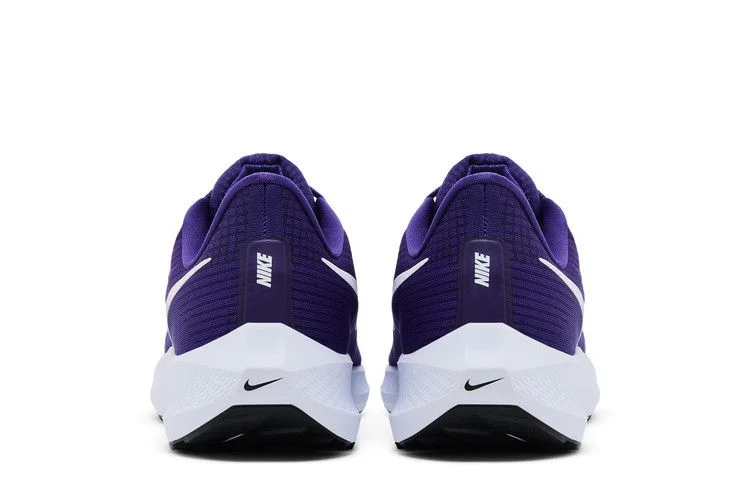 Кроссовки Nike Air Zoom Pegasus 39 Turbo 'Court Purple'