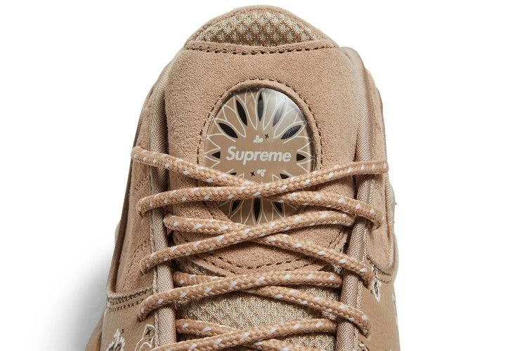 Krossovki-Supreme-x-Nike-Air-Zoom-Flight-95-SP-Hemp-8