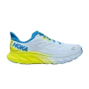 arahi-6-ice-water-evening-primrose-1123194-iwep-100x100