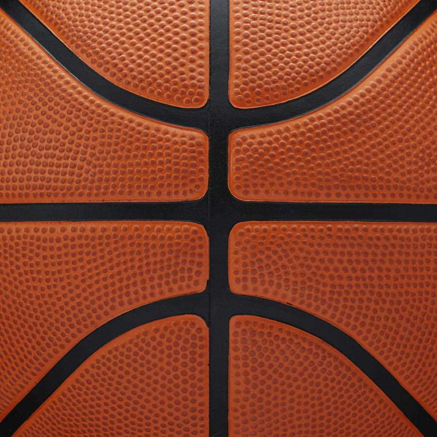 Wilson-NBA-Authentic-Series-Outdoor-Basketball-9