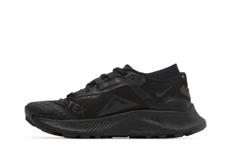 Кроссовки Nike Wmns Pegasus Trail 3 GTX 'Triple Black'