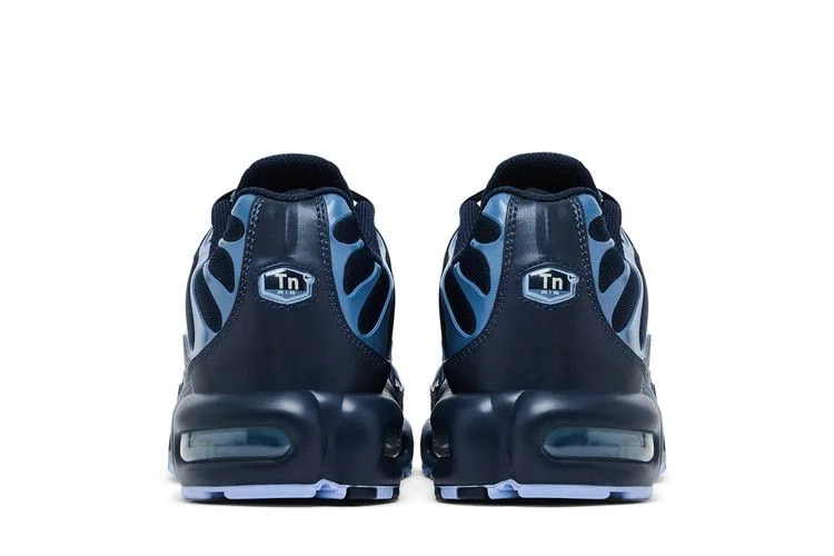 Krossovki-Nike-Air-Max-Plus-Obsidian-Aluminum-5