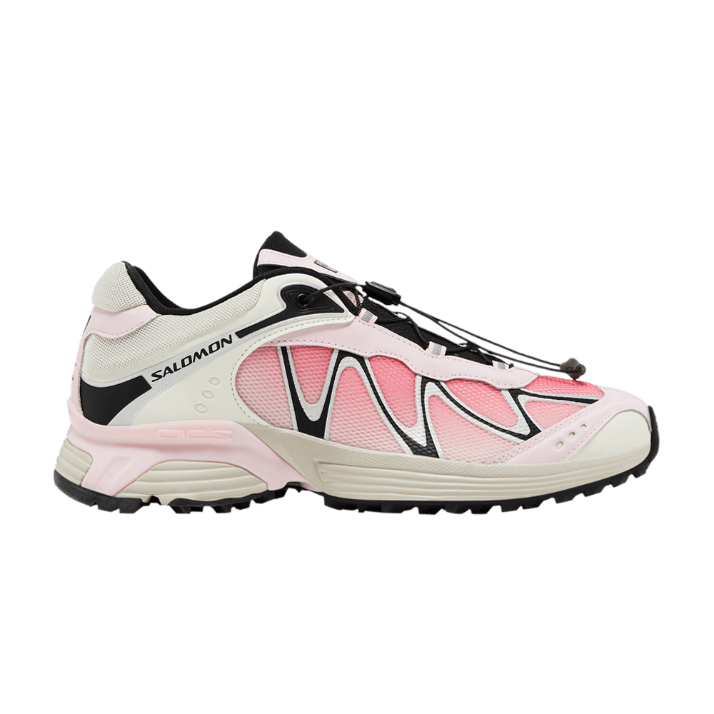 Кроссовки Salomon XT-Whisper 'Fairy Tale Black'
