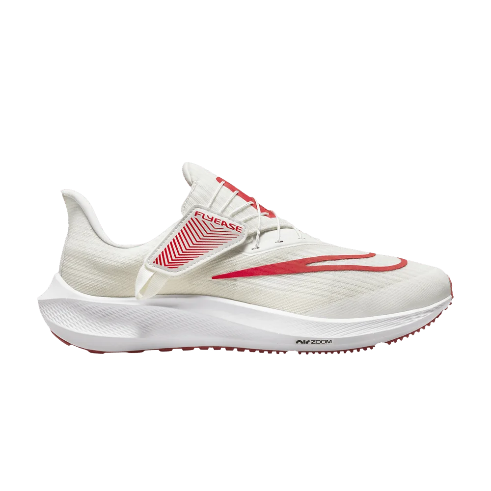 Krossovki-Nike-Air-Zoom-Pegasus-39-FlyEase-White-Light-Crimson