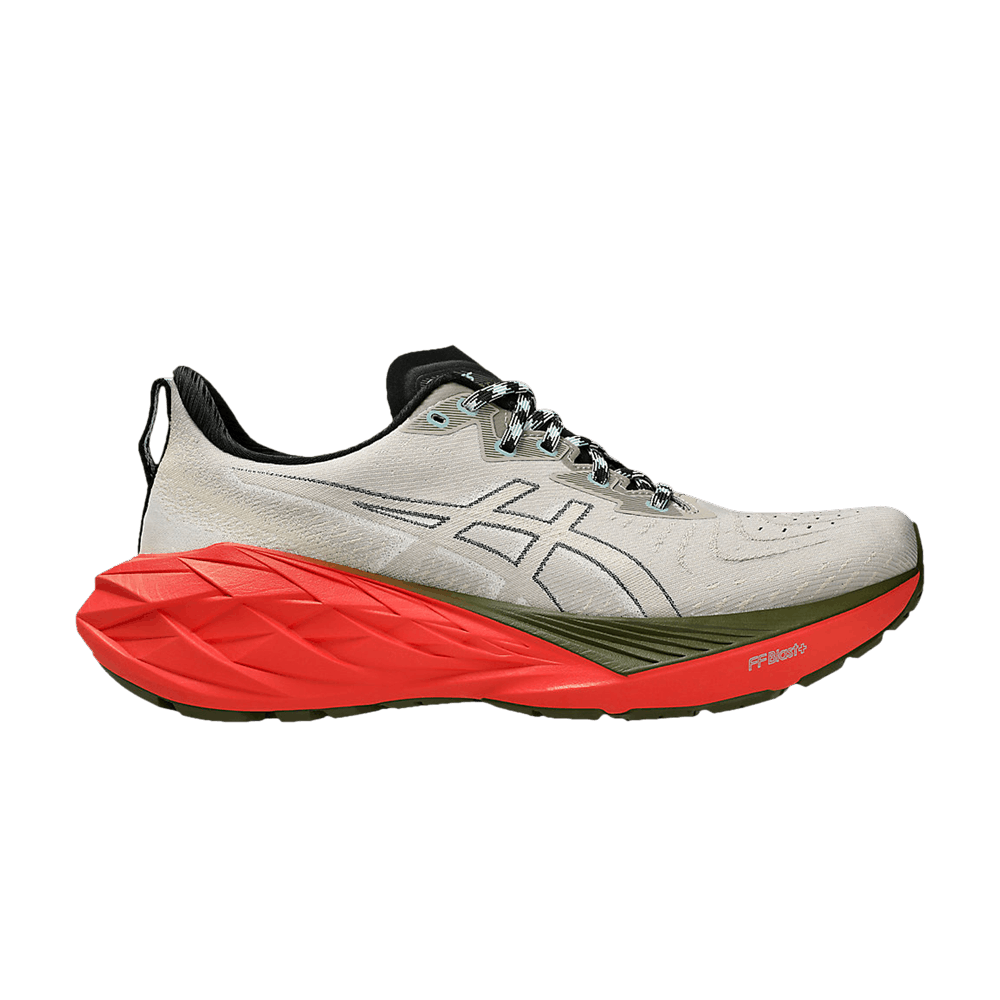 Кроссовки ASICS Novablast 4 TR 'Nature Bathing - Red Snapper'