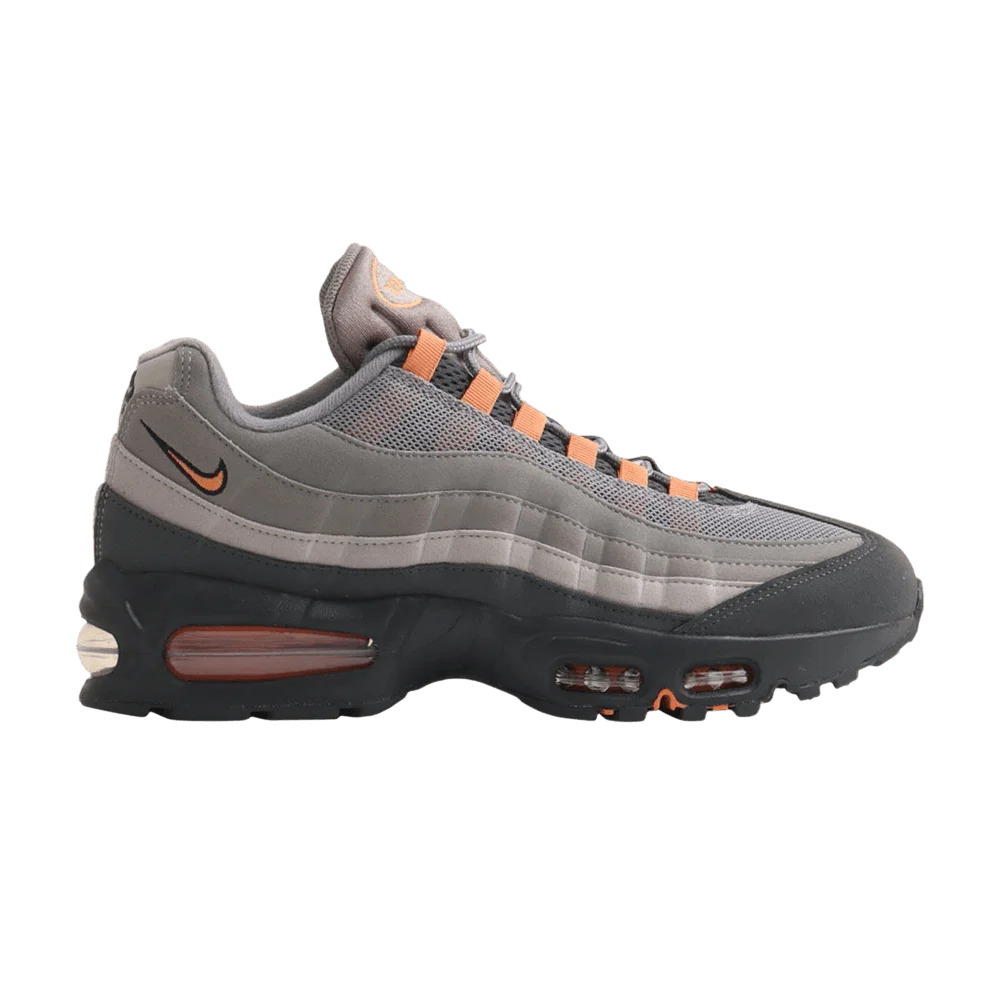Кроссовки Nike Air Max 95 'Big Bubble - Hot Curry'
