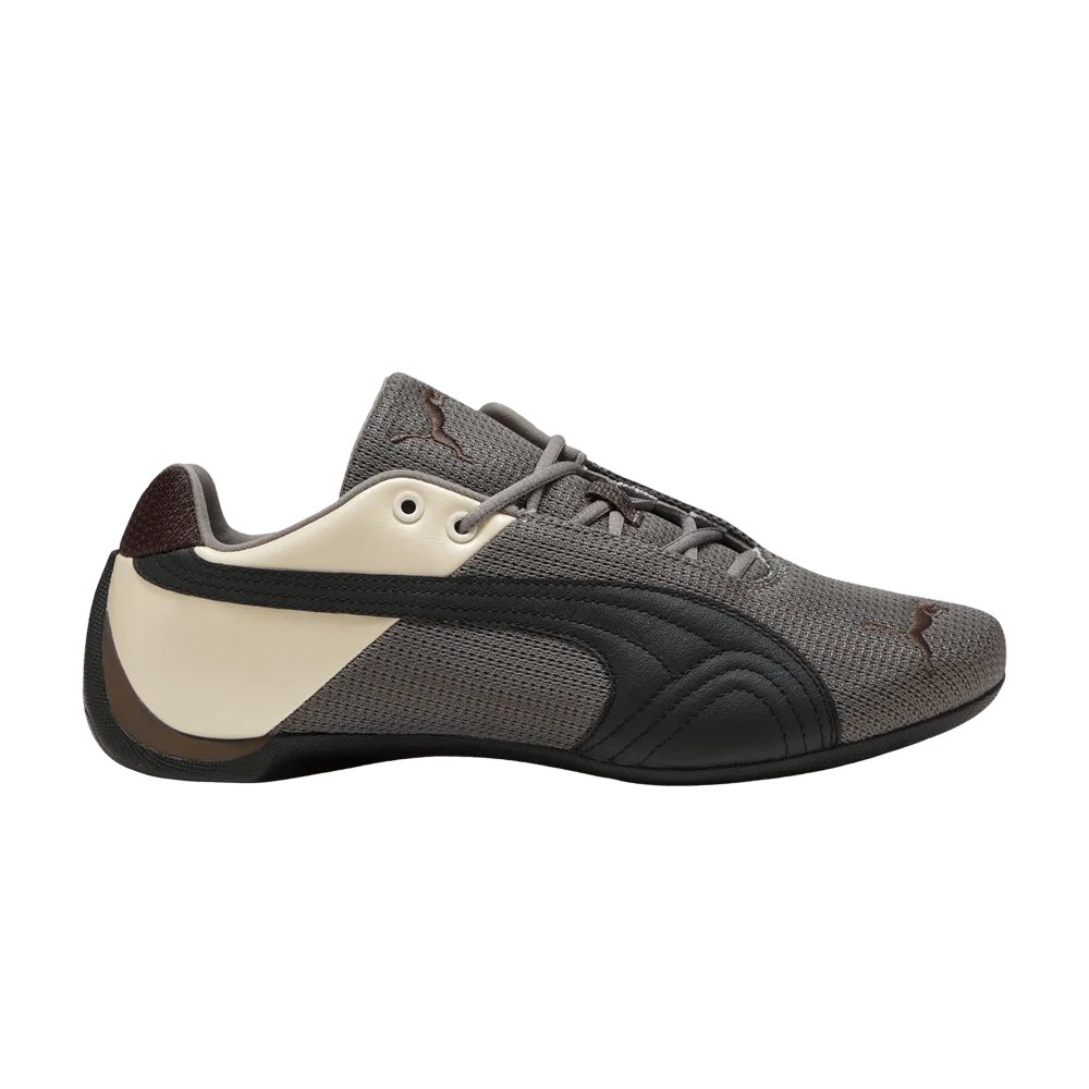 Krossovki-Puma-Future-Cat-Metallic-Iron-Alpine-Snow