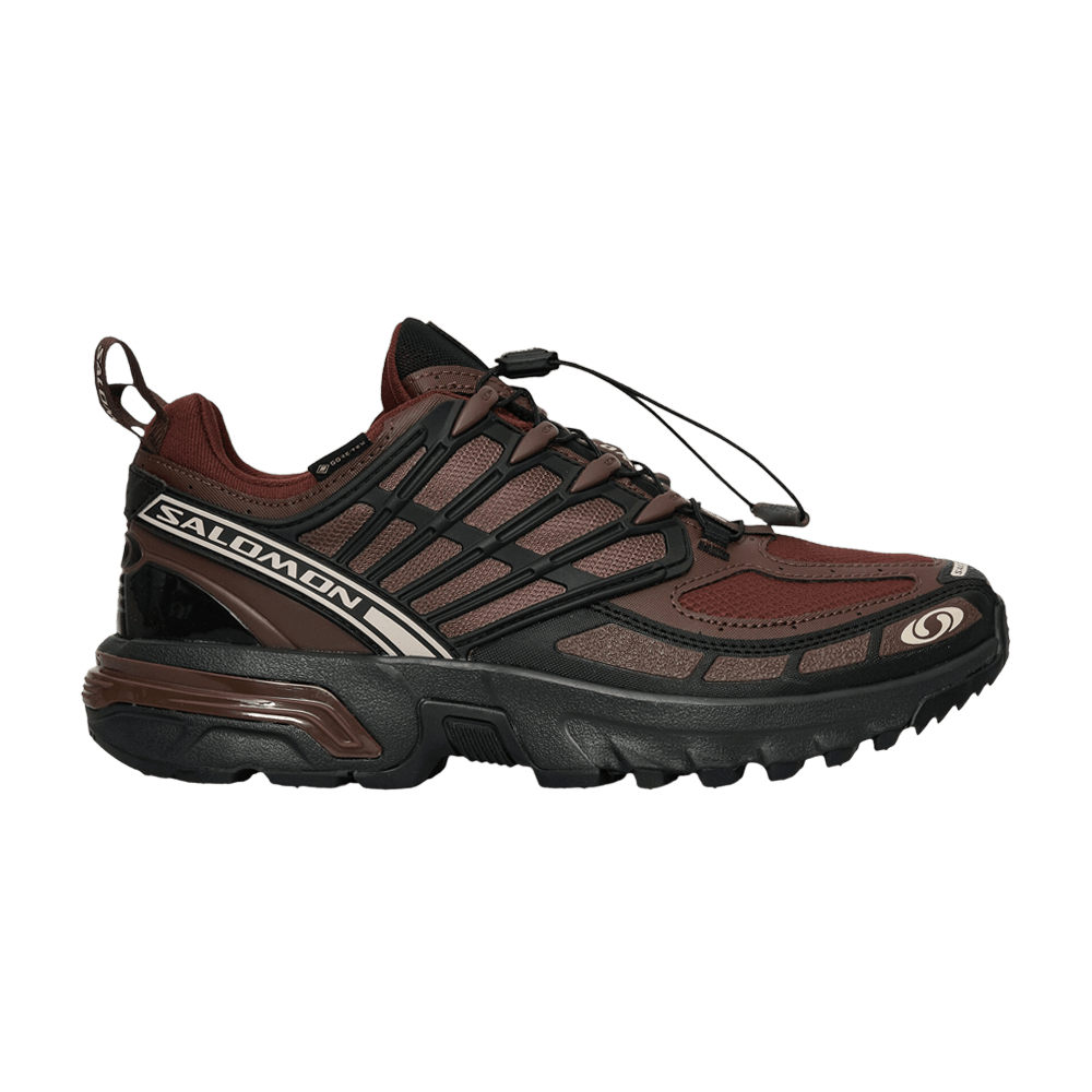 Кроссовки Salomon ACS Pro GORE-TEX 'Clay Rum Raisin'