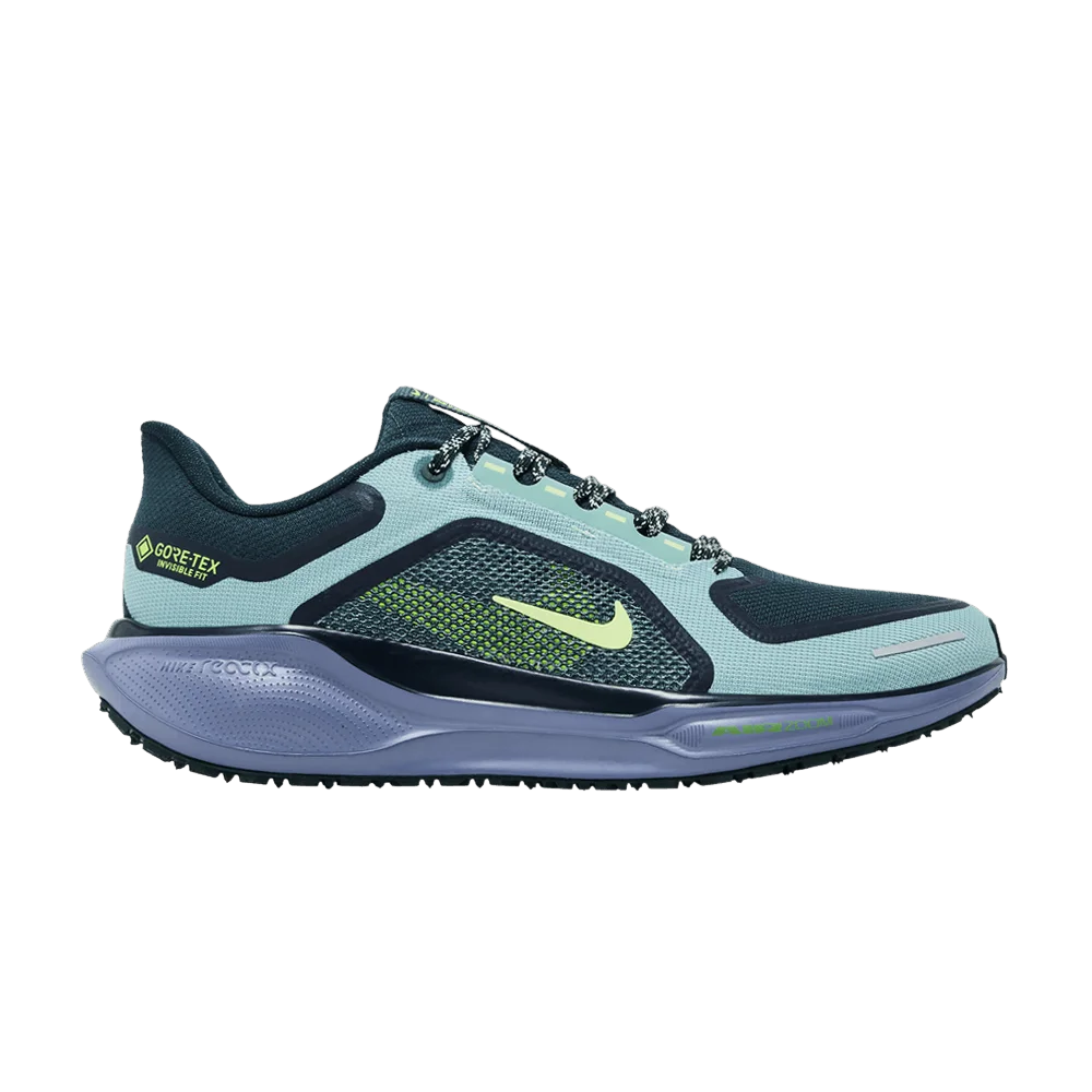 Кроссовки Nike Air Zoom Pegasus 41 GORE-TEX 'Cannon Obsidian'