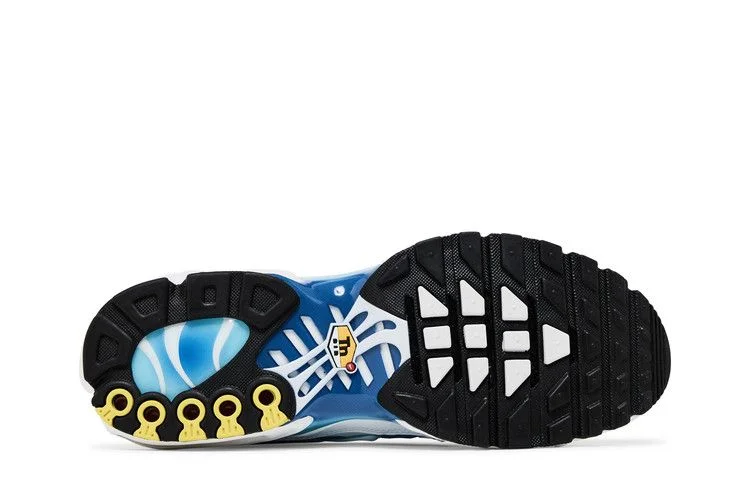 Кроссовки Nike Air Max Plus 'Sky Blue'