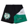 Mitchell-Ness-Woven-Shorts-Vintage-Logo-Boston-Celtics-Shorts-100x100