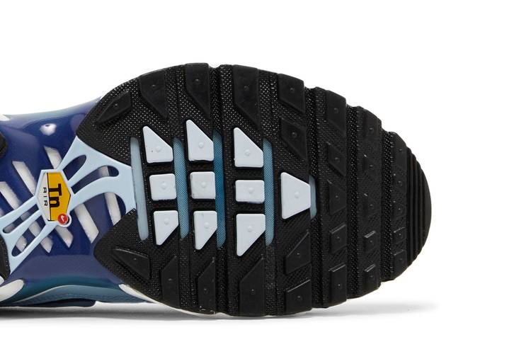 Кроссовки Nike Wmns Air Max Plus 'Celestine Blue'