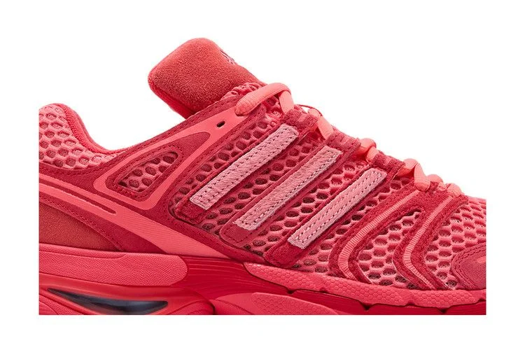 unheardof-x-adidas-adistar-control-5-piggy-runner-2-0-steve-o-kj8363_2