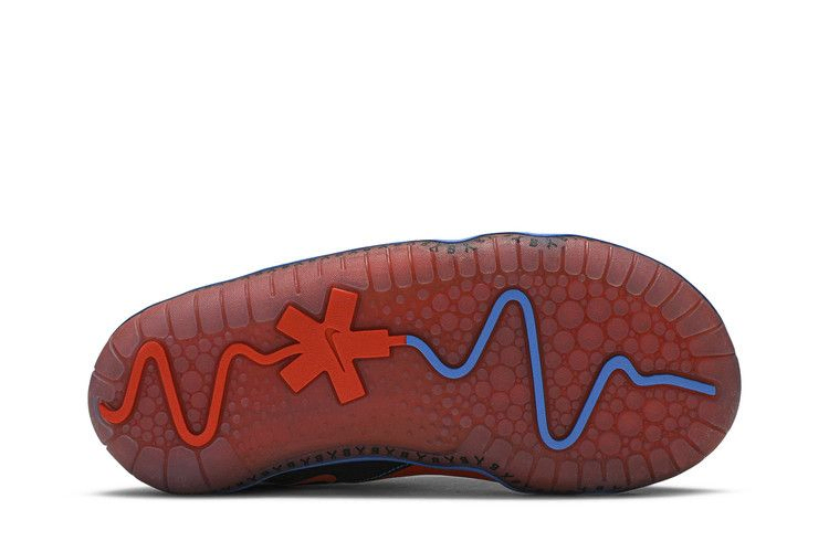 Кроссовки Nike Zoom Pulse 'Doernbecher - Bransen'