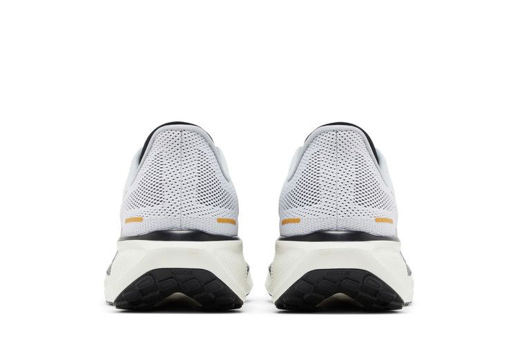 Кроссовки Nike Air Zoom Pegasus 41 'Light Smoke Grey Metallic Gold'